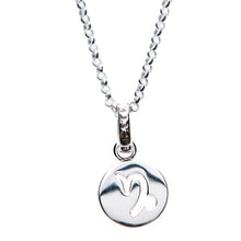Load image into Gallery viewer, Capricorn - Zodiac Pendant

