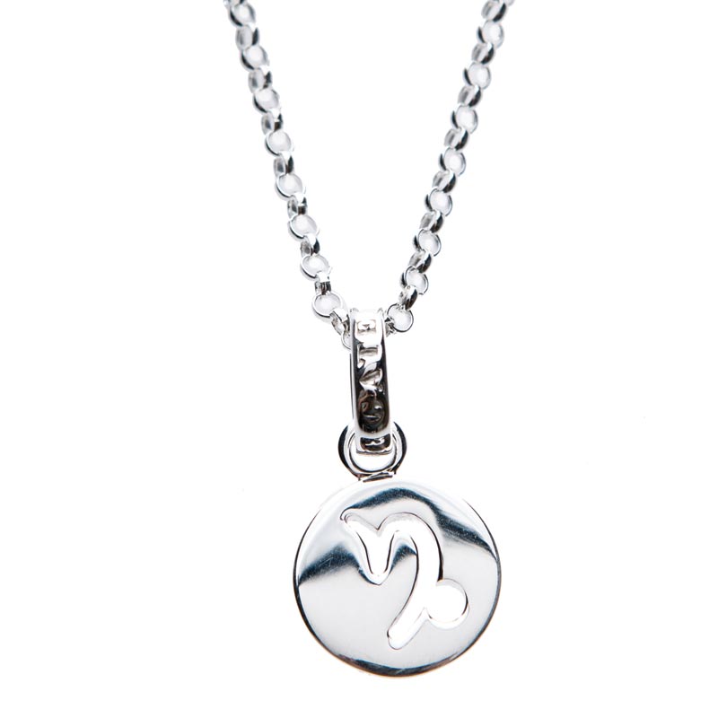 Capricorn - Zodiac Pendant