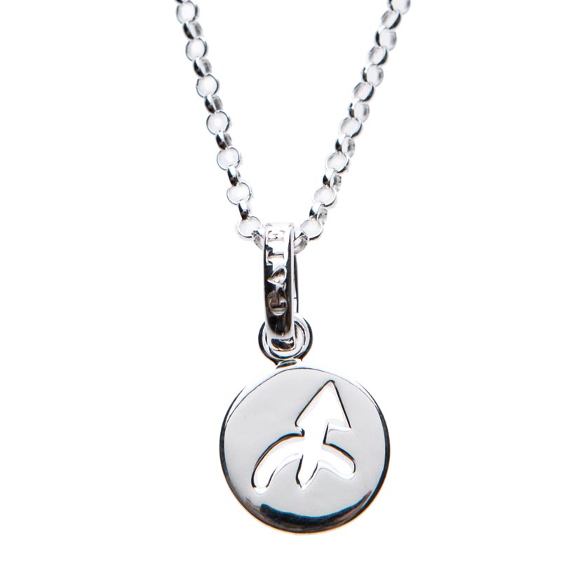 Sagittarius - Zodiac Pendant